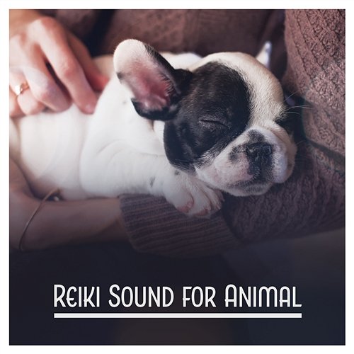 Reiki Sound for Animal: Therapy Music for Dogs, Calming Music for Pets, Release from Anxiety Your Four Legged Friend, Soothing Time Pet Relax Academy