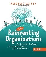 Reinventing Organizations visuell Laloux Frederic