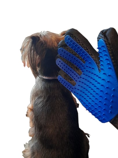 Rękawiczka do czesania zwierząt psa kota królika Inna marka