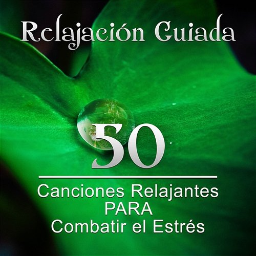 Relajación Guiada: 50 Canciones Relajantes para Combatir el Estrés y Control de la Ira, Meditación Profunda para Relajar la Mente y Sanar el Alma Meditación Música Ambiente
