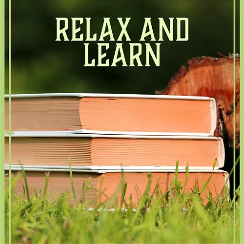 Relax and Learn – Perfect Concentration, Acoustic Calm, Study Music, Mind Training & Focus Improving Concentration Music Zone
