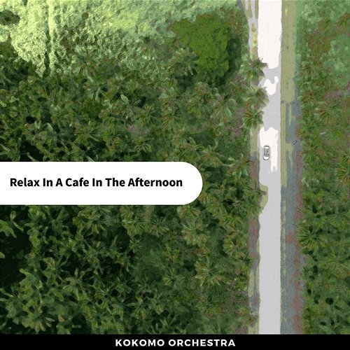 Relax in a Cafe in the Afternoon Kokomo Orchestra