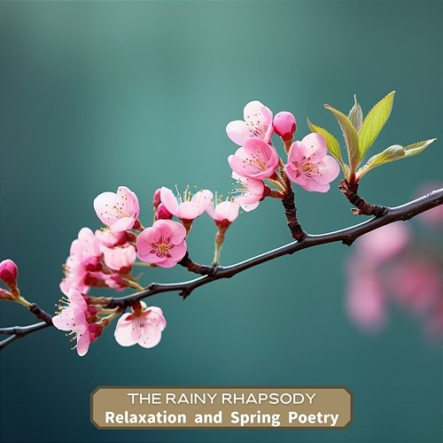 Relaxation and Spring Poetry The Rainy Rhapsody
