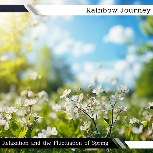 Relaxation and the Fluctuation of Spring Rainbow Journey