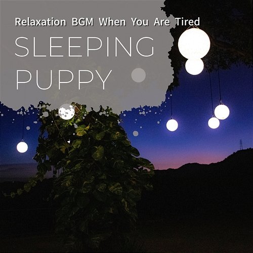 Relaxation Bgm When You Are Tired Sleeping Puppy