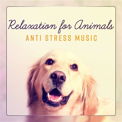 Relaxation for Animals – Anti Stress Music, Better Sleep, Zen State, Good Influence, Positive Frequency, Soothing Sounds Cats Music Zone