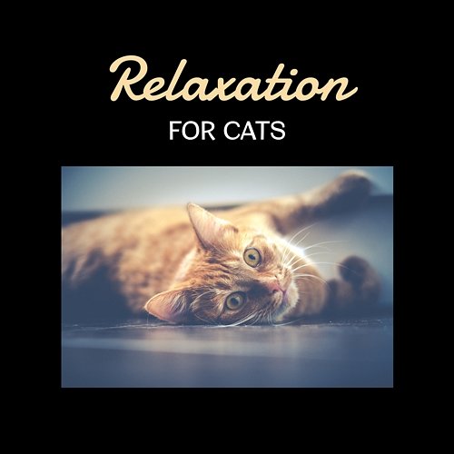 Relaxation for Cats – Soothing Music for Pets, Deep Trance. Relax Your Animal, Instant Happiness, Dog & Cat Love, Therapy for Calm Nerves Cats Music Zone
