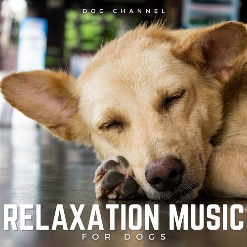 Relaxation Music for Dogs Dog Channel