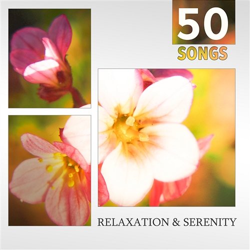 Relaxation & Serenity: 50 Songs – Music for Meditation, Spa, Healing Massage & Yoga Class, Stress Relief Melody, Deep Sleep Sounds Relaxation Zone