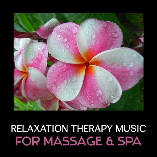 Relaxation Therapy Music Mindfulness Meditation Music Spa Maestro