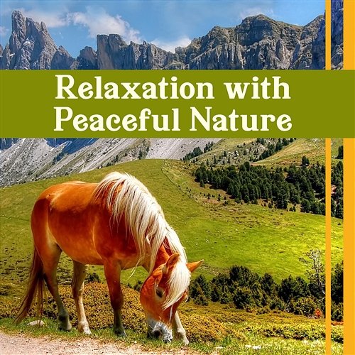 Relaxation with Peaceful Nature: Calmness Therapy Zone, Emotional Health, Perfect Soundscapes, Positive Energy, Total Restful Calm Love Oasis