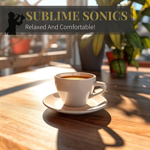 Relaxed and Comfortable ! Sublime Sonics