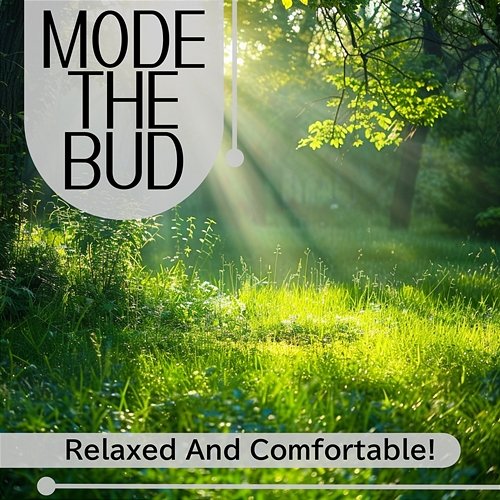 Relaxed and Comfortable ! Mode The Bud