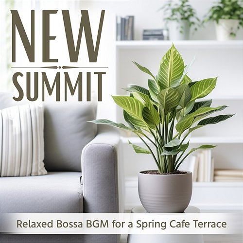 Relaxed Bossa Bgm for a Spring Cafe Terrace New Summit