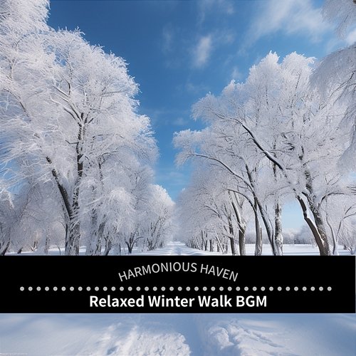 Relaxed Winter Walk Bgm Harmonious Haven