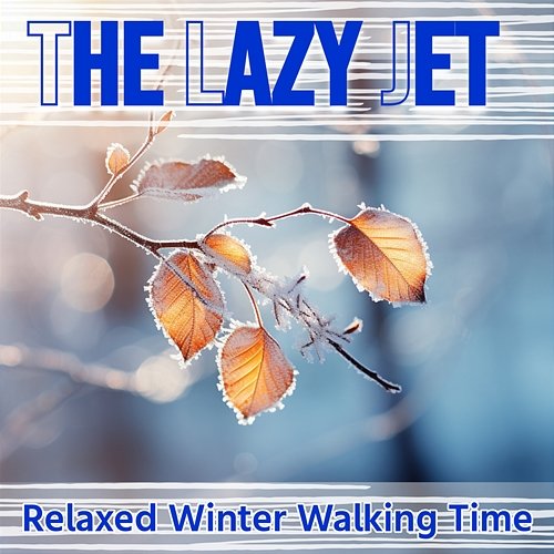 Relaxed Winter Walking Time The Lazy Jet