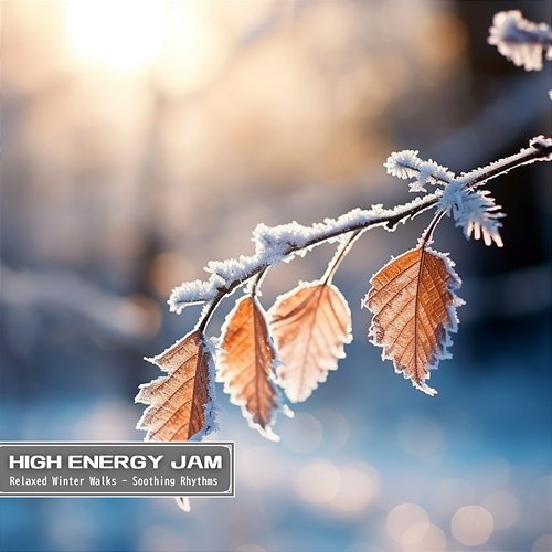Relaxed Winter Walks-Soothing Rhythms High Energy Jam