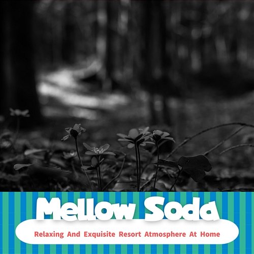 Relaxing and Exquisite Resort Atmosphere at Home Mellow Soda