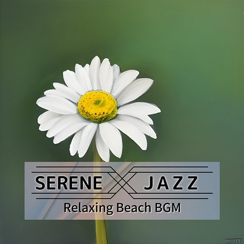 Relaxing Beach Bgm Serene Jazz