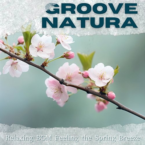 Relaxing Bgm Feeling the Spring Breeze Groove Natura