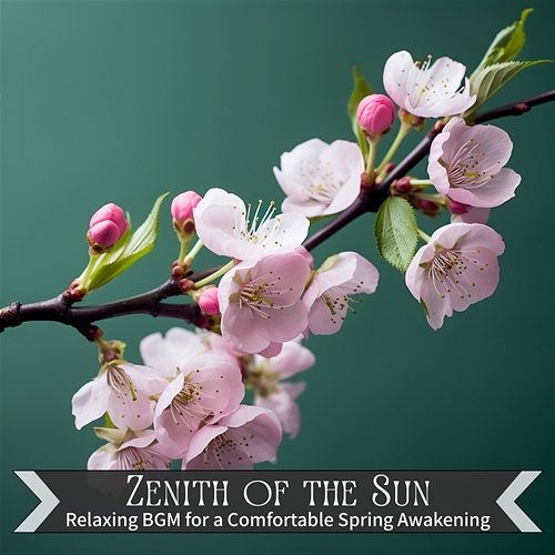 Relaxing Bgm for a Comfortable Spring Awakening Zenith of the Sun