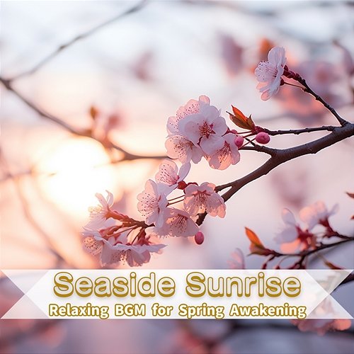 Relaxing Bgm for Spring Awakening Seaside Sunrise
