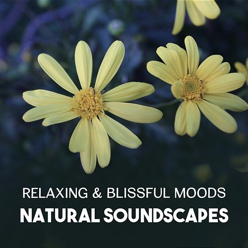 Relaxing & Blissful Moods – Natural Soundscapes, Effective Solutions for Mindfulness Meditation, Music Therapy to Reduce Stress, Positive Vibration Harmony Nature Sounds Academy