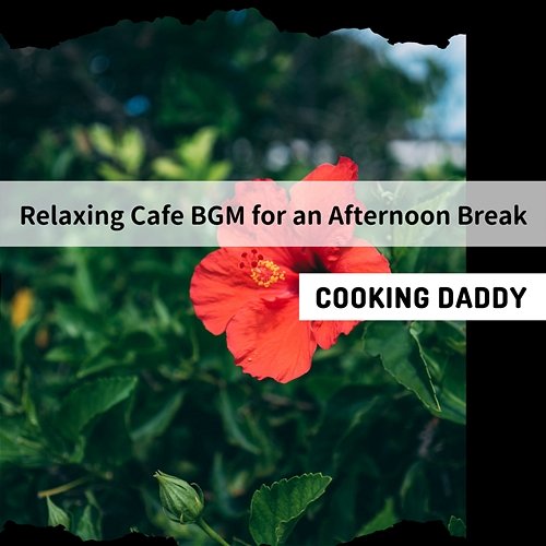 Relaxing Cafe Bgm for an Afternoon Break Cooking Daddy