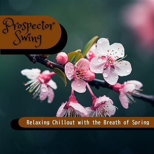 Relaxing Chillout with the Breath of Spring Prospector Swing