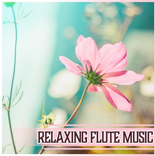 Relaxing Flute Music – Chakra Balance, Mindfulness Meditation, Defeat Your Stress, Spirit Free, Relief for Insomnia Flute Music Ensemble