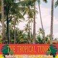 Relaxing Hawaiian Bgm at Home The Tropical Tunes