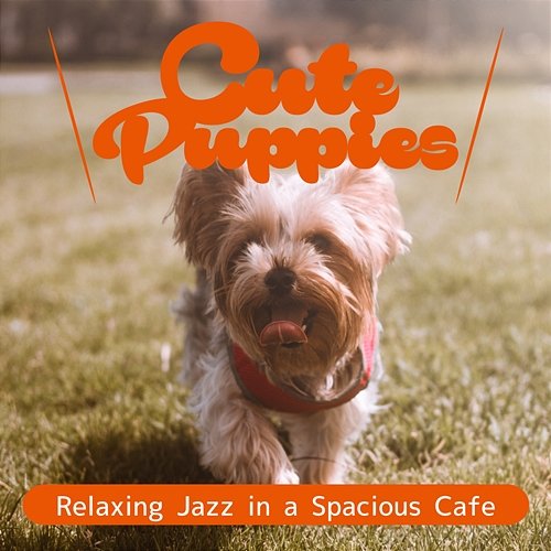 Relaxing Jazz in a Spacious Cafe Cute Puppies