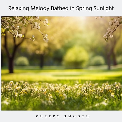 Relaxing Melody Bathed in Spring Sunlight Cherry Smooth