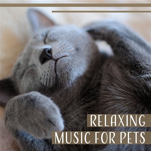 Relaxing Music for Pets – Calming Music for Dogs and Cats, Calm Down Your Animals, Soothing Sounds for Pets, Deep Sleep for Dog and Cat Pet Relax Academy