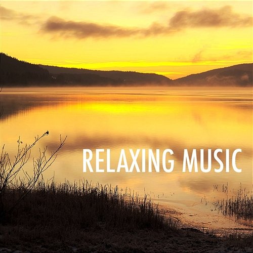 Relaxing Music – Natural White Noise for Spa & Massage Yoga Meditation Relaxation 111, Sleep Therapy Sessions, Relax with Reiki Soothing Tracks 111 Minutes of Relaxation Music