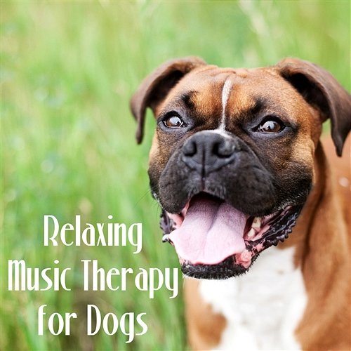Relaxing Music Therapy for Dogs – Mellow Sounds to Calm Down Your Pet While You Are Out, Soft Instrumental Music for Puppies Music for Dog's Ears