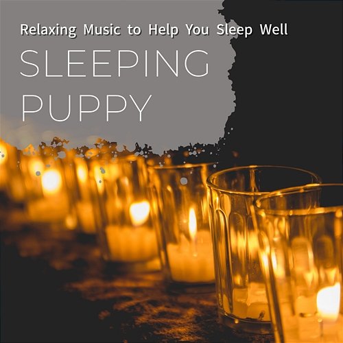 Relaxing Music to Help You Sleep Well Sleeping Puppy