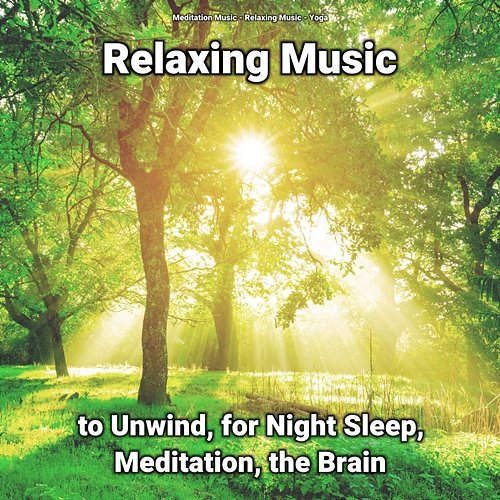 Relaxing Music to Unwind, for Night Sleep, Meditation, the Brain Relaxing Music, Meditation Music, Yoga