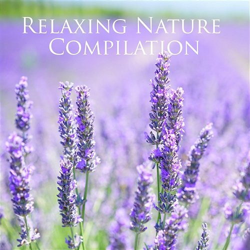 Relaxing Nature Compilation Best Meditation, Relax and Spa Music