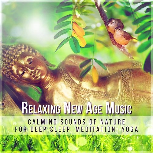 Relaxing New Age Music: Calming Sounds of Nature for Deep Sleep, Meditation, Yoga, Healing Therapy, Ambient Music Meditation Yoga Music Masters