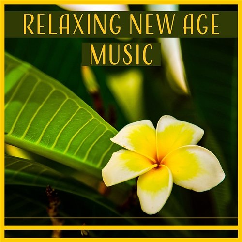 Relaxing New Age Music: Sound Therapy for Yoga & Meditation Session, Healing Sounds of Nature Various Artists