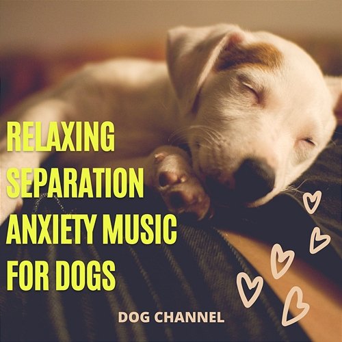 Relaxing Separation Anxiety Music for Dogs Dog Channel