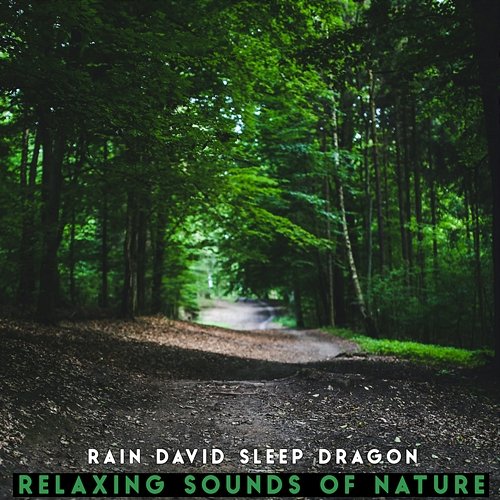 Relaxing Sounds of Nature Rain David Sleep Dragon