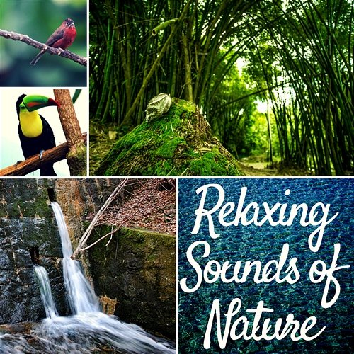 Relaxing Sounds of Nature – Instrumental Music with Singing Birds and Water Noises for Yoga Meditation, Concentration, Spa, Relax Mother Nature Music