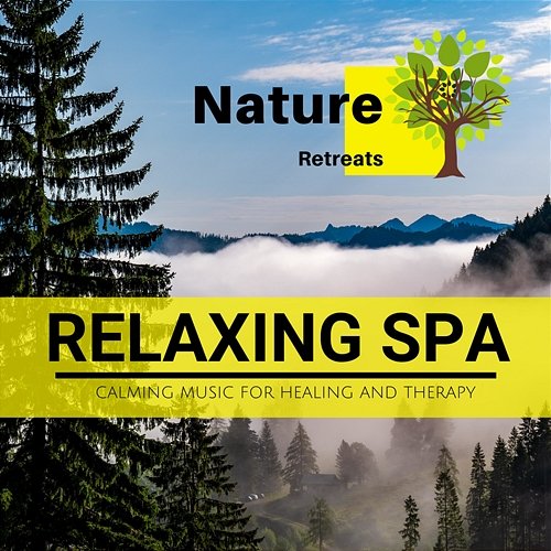 Relaxing Spa - Calming Music for Healing and Therapy Various Artists