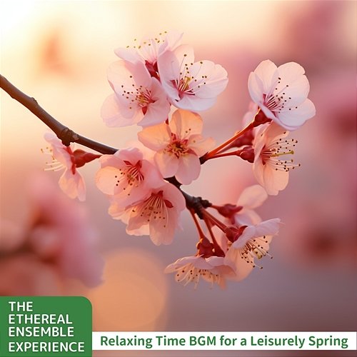 Relaxing Time Bgm for a Leisurely Spring The Ethereal Ensemble Experience