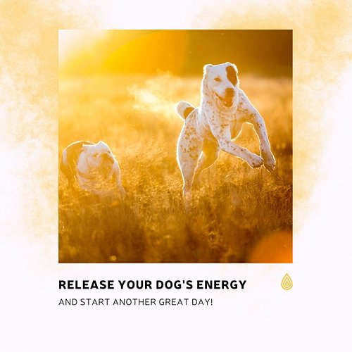 Release Your Dog's Energy and Start Another Great Day! Various Artists