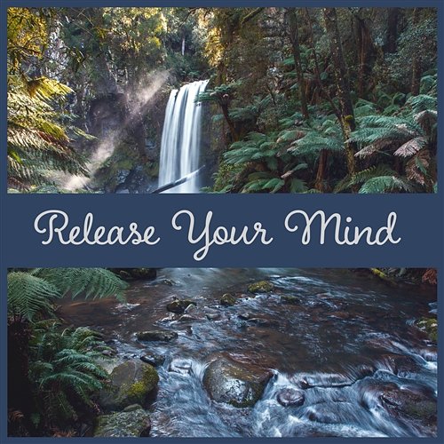 Release Your Mind: Rain Acoustic, Soothing Music, Water Ambient Sound, Relax & Inner Peace Healing Waters Zone