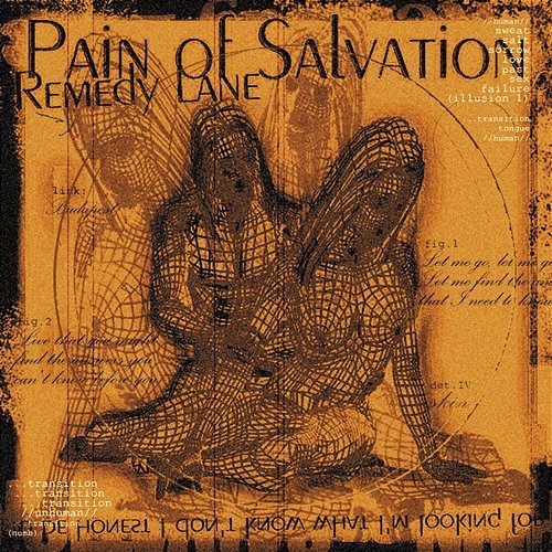 Remedy Lane Pain Of Salvation
