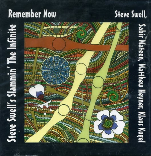 Remember Now By Steve Swell's Slammin' The Infinite Swell Steve